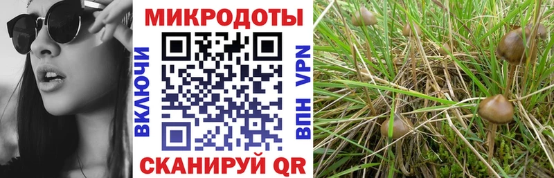 Псилоцибиновые грибы MAGIC MUSHROOMS  Тюкалинск 